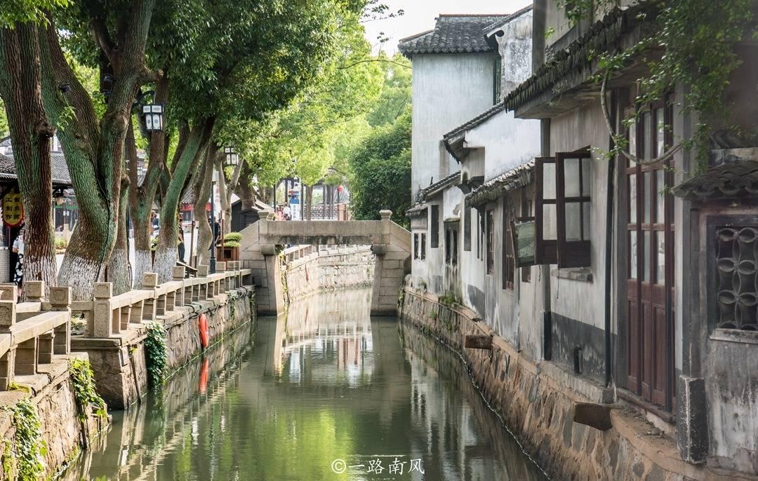 逃离变色龙森林